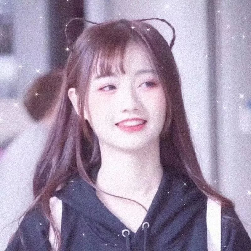我的猪队友